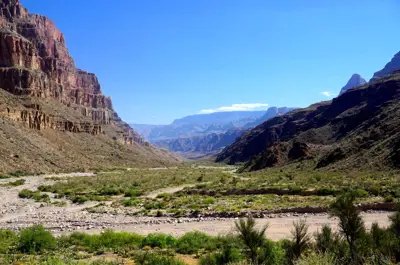 Peach Springs desert
