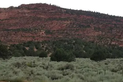 Colorado City Landscape